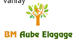 elagage-bm-elagueur