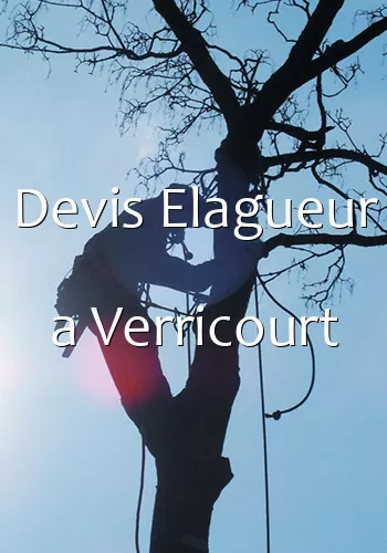 Devis Elagueur a Verricourt