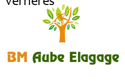 elagage-bm-elagueur