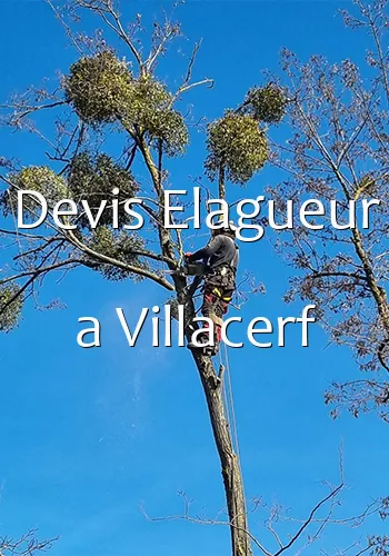 Devis Elagueur a Villacerf