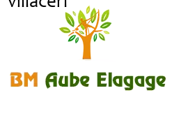 elagage-bm-elagueur