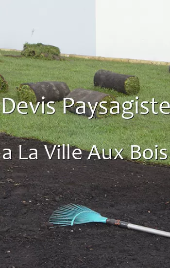 Devis Paysagiste a La Ville Aux Bois