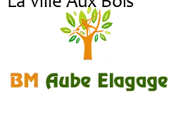 elagage-bm-elagueur