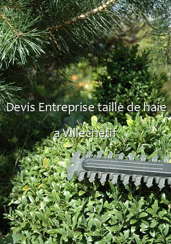 Devis Entreprise taille de haie a Villechetif