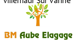 elagage-bm-elagueur