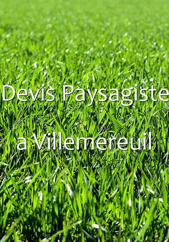 Devis Paysagiste a Villemereuil