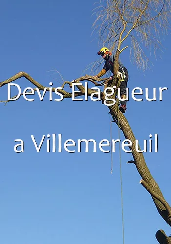 Devis Elagueur a Villemereuil