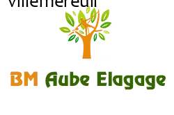 elagage-bm-elagueur