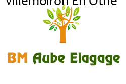 elagage-bm-elagueur