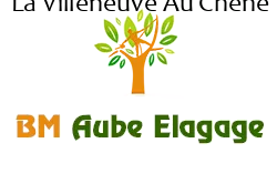 elagage-bm-elagueur