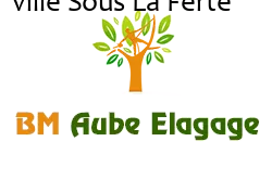 elagage-bm-elagueur