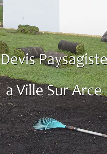 Devis Paysagiste a Ville Sur Arce