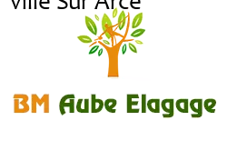 elagage-bm-elagueur