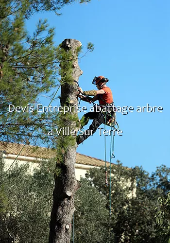 Devis Entreprise abattage arbre a Ville Sur Terre