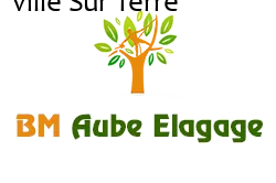 elagage-bm-elagueur