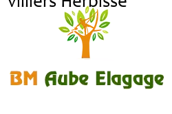 elagage-bm-elagueur