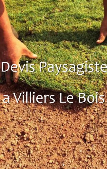 Devis Paysagiste a Villiers Le Bois