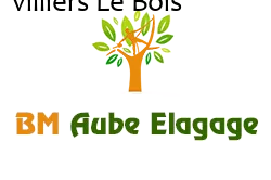 elagage-bm-elagueur