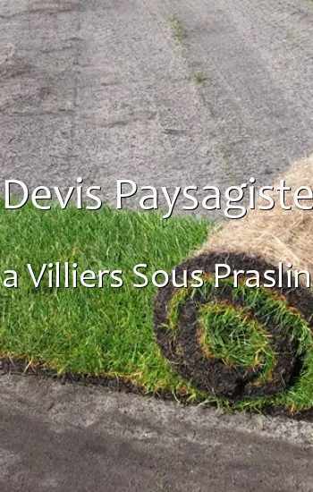 Devis Paysagiste a Villiers Sous Praslin