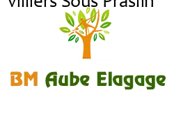 elagage-bm-elagueur