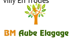 elagage-bm-elagueur