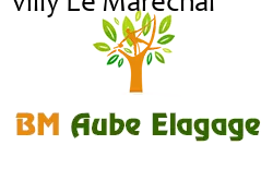 elagage-bm-elagueur