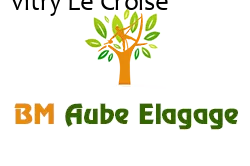 elagage-bm-elagueur