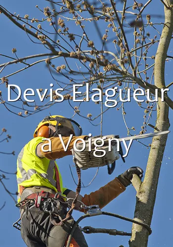 Devis Elagueur a Voigny