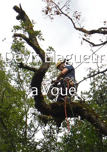 Devis Elagueur a Voue