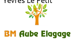 elagage-bm-elagueur