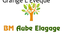 elagage-bm-elagueur