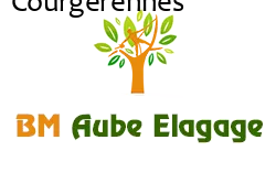 elagage-bm-elagueur