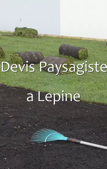 Devis Paysagiste a Lepine