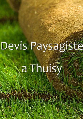 Devis Paysagiste a Thuisy