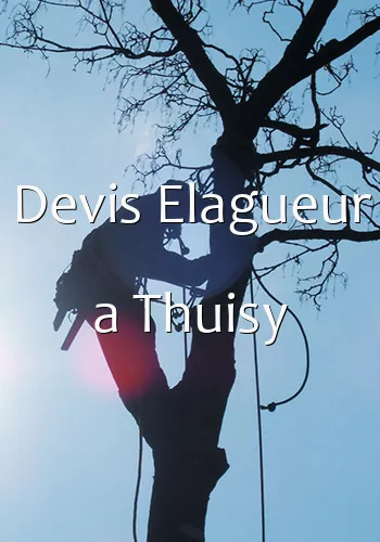 Devis Elagueur a Thuisy